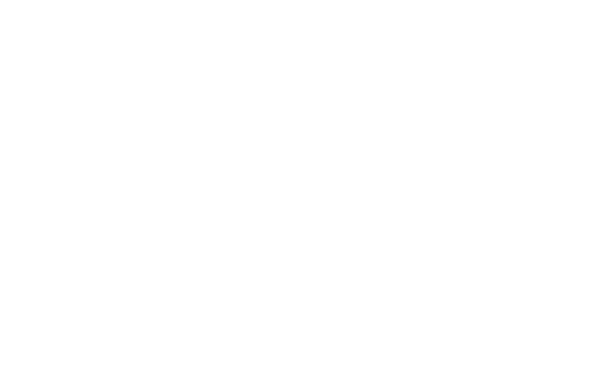 ECO-IRIS: Emil Chronicle Online